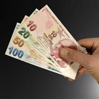 Domuz gribinin faturas� 572 TL