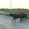 Mandalar trafi�i alt �st etti
