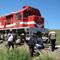 Tren otomobile �arpt�: 2 �l�