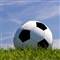 Fenerbah�e - Galatasaray �eki�mesi