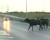 Mandalar trafi�i alt �st etti