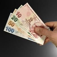 Bakan'dan emekli ayl��� a��klamas�