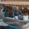 Dev k�pek bal��� g�renleri �a��rtt�