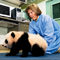 Yun Zi, y�r�meye ba�lad�