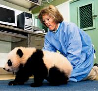 Yun Zi, y�r�meye ba�lad�