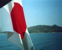 Japonya'da sat�l�k ada
