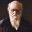 Cogito�dan Darwin �zel say�s�