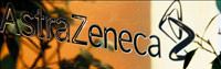 ��siz kald�klar�n� e�itim seminerinin sonunda ��rendiler