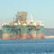 T�rkiyenin petrol umudu