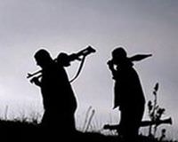 ��rnak ve Hakkari'de iki ter�rist yakaland�