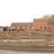 51 ine�ini �ld�r�p intihar etti