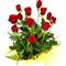 Sevgiliye g�l s�n�r tan�m�yor