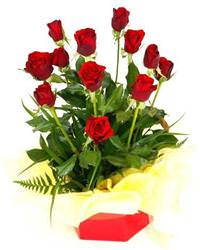 Sevgiliye g�l s�n�r tan�m�yor