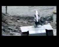 Bomba imha eden robot