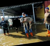 176. Geleneksel Edirne Sel �enlikleri