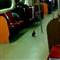 Bu da metropol g�vercini!