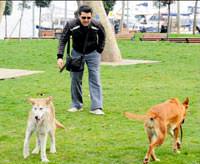 'Siz gelmeseydiniz daha �ok oynard�m'