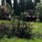 Bir kur�unu k�z�na di�erini kendine s�kt�