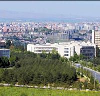 Beyin g��� tersine d�nd�