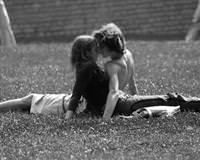 �p��me tutkunlar�n�n ak�n�na u�rad�
