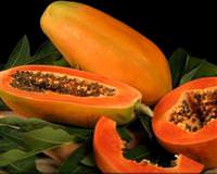 Kanseri sonland�racak meyve