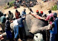 "Sudan'�n sefaletine a�lad�"
