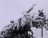 Rize'ye ya�an kar �a��rtt�