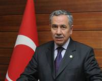 Ar�n� Baykal'a y�klendi