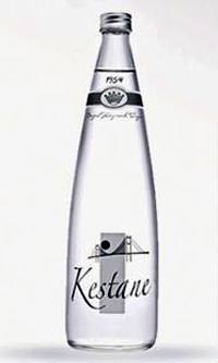46 y�ll�k Kestane Su Divan ile piyasada