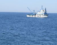 Bodrum'da bal�k�� teknesi batt�