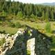Orduda yayla turizmi