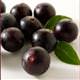Herkes Acai Meyvesi�ni konu�uyor!
