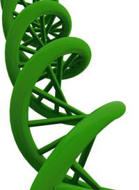 DNA'dan ya�ayan yapay h�creye...
