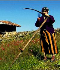 Macaristan'da 'ifakat'a b�y�k ilgi