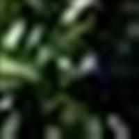 �hmalden yurt yand�: 3 k�z yaral�