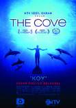 Koy