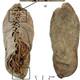 Bu ayakkab� 5 bin 500 y�l �ncesine ait