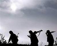 Avrupa ter�r �rg�t� pkk