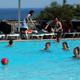 Turistler Bodrumun tad�n� ��kar�yor