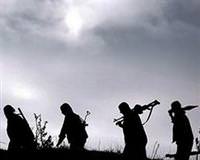 Silvan Diyarbak�r pkk ter�rist