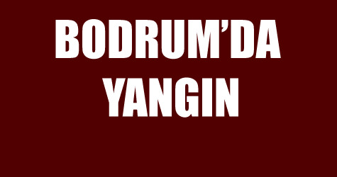 Yerle�im alanlar�n�n dibinde