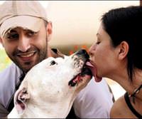 Pitbull sahiplerinden 'toplatma' protestosu