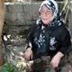 Yavru kedinin ac� sonu