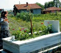 Jandarma Er Ali Basar may�n �ehit