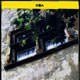 Sacit �zkanl�dan bir a�k kitab�