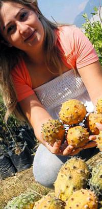 Rambutan, goji ve guava art�k milli meyvemiz oldu