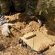 Ter�rle m�cadelede yeni sistem