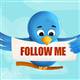 Uzayl�lar da font color=redblinkTwitter/blink/font kullan�yor