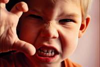 Neden sinir t�rp�s� oluyorlar?