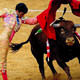 Katalonya bo�a g�re�inin yasaklanmas�n� oyluyor